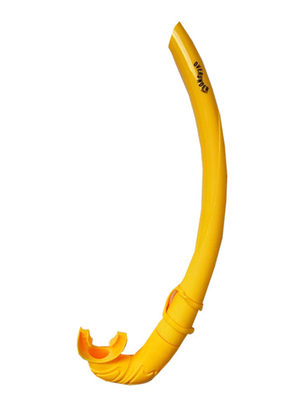 Snorkel