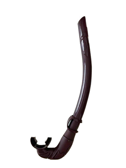 Snorkel